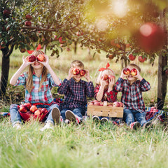 Familienbaum - Mehrfrucht-Obstbaum