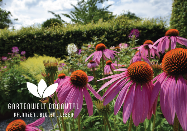 Gartenwelt Donautal Gutschein